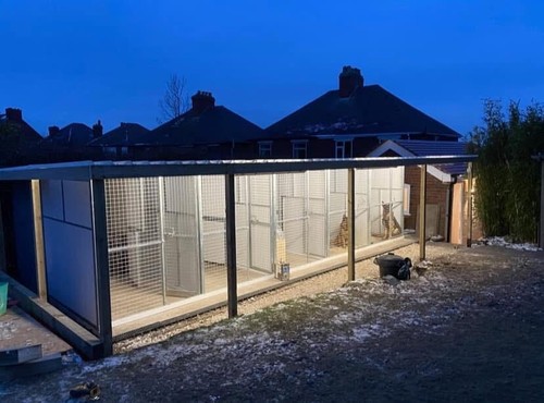 Dog kennels with metal - with,