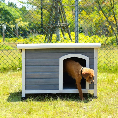 Outdoor wooden dog house - outdoor,
