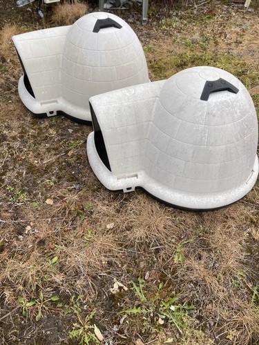 Petmate indigo igloo - petmate,