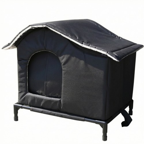 Outdoor cat and dog - and, shelter